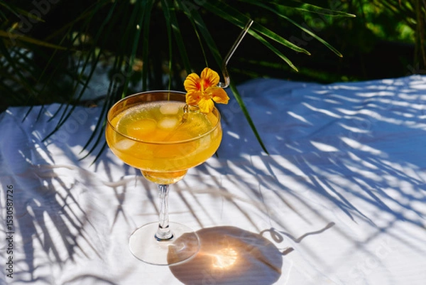 Fototapeta Summer refreshing orange soda drink on the table in the garden. Iced lemonade with orange slices.