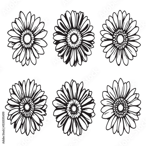 Fototapeta minimalist gerbera flower vector line art elegant style