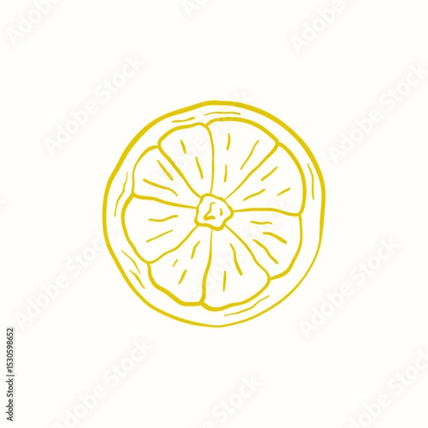 Obraz Vector doodle illustration of citrus fruit lemon