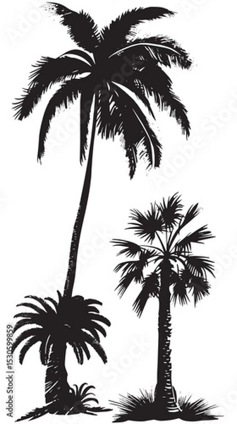 Obraz Palm tree silhouette on the beach by the sea for summer vacation , black silhouettes isolated on white background