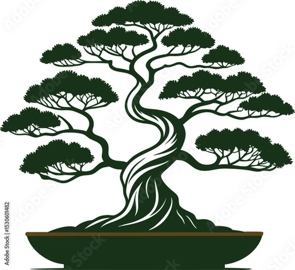 Fototapeta bonsai tree vector
