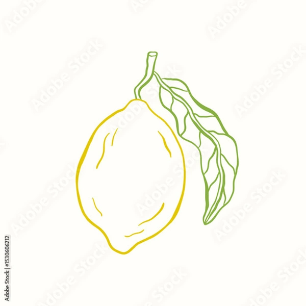 Obraz Doodle sketch illustration of lemon. Citrus tropical fruit