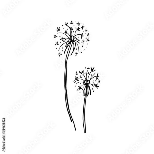 Fototapeta Black and white black grunge brush decorative dandelion logo or label printable sketchy art. Boho floral hand drawn vector illustrations on abstract background wall poster decor for home, interior
