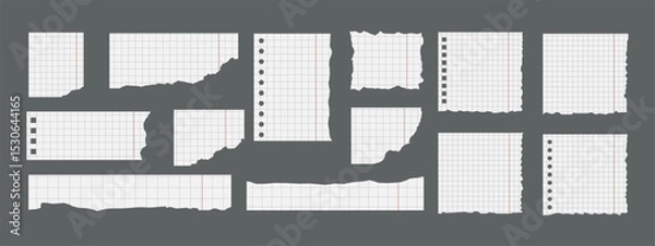 Fototapeta Set of torn squared notebook paper sheets with spiral holes and rough edges, isolated. Blank note paper templates for school or office. Vector illustration in flat style.
