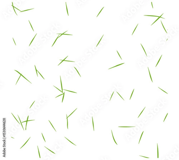 Obraz architectural ground base, grass cad pattern, vector illustration, landscaping top view, garden surface texture, nature terrain layout, urban plan element, cutout, exterior map.