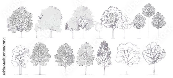 Fototapeta Set of trees elements in cad drawing, minimal line art, landscape symbol, vector illustration, background architecture, foliage outline, modern trees, linework, cutout.