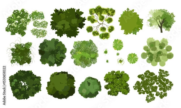 Obraz Vector illustration, tree top view, garden layout, isolated foliage, landscape architecture, white background, cad drawing, site plan, vegetation, terrain mapping, environmental, cutout.