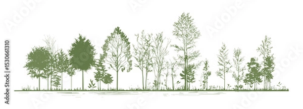 Obraz Minimal style tree line cad drawing, side view section of wetland forest outline for landscape design, architectural drawings, vector illustration, landscape architecture, forestry, cad sketch.