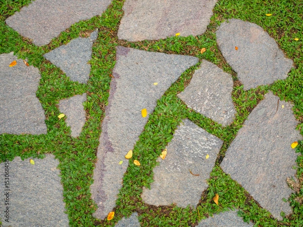 Obraz Old stone pavement with green grass