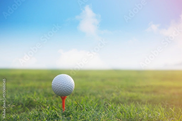 Fototapeta golf ball on tee in a beautiful golf course with morning sunshine.