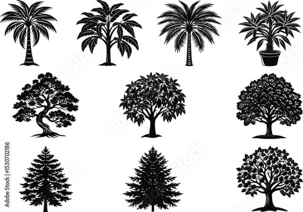 Fototapeta Collection of Twelve Silhouette Tree Illustrations Palm, Oak, Fir