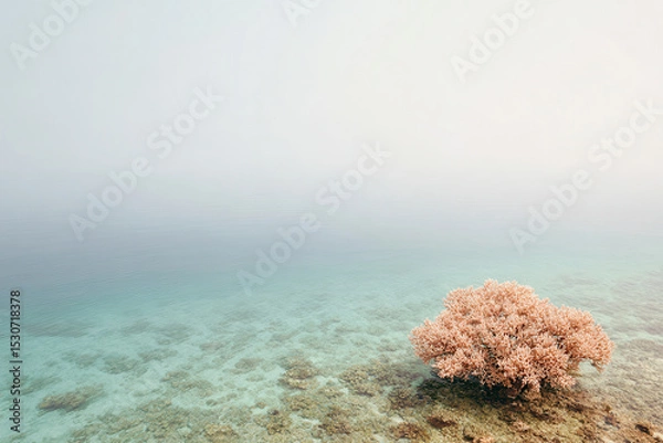 Fototapeta aerial view of coral reef in slovakia under overcast sky