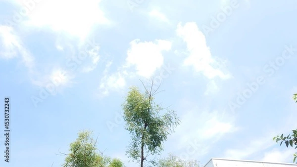 Fototapeta sky and clouds