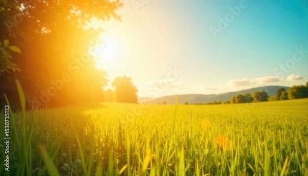 Fototapeta Vibrant sunny background perfect for overlay or design projects Golden light, clear sky, evokes warmth and happiness Ideal for summer, vacation, and nature themes , sunbeam, background
