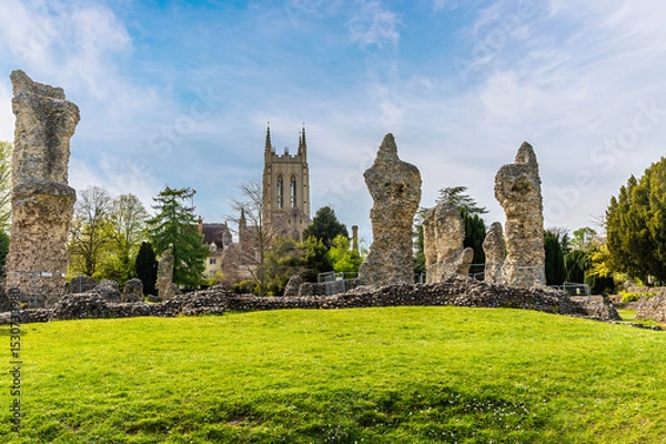 Fototapeta A view over the Abbey ruins and towards the cathedral at Bury Saint Edmunds on a bright day in springtime