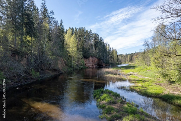 Fototapeta red sandstone cliffs overgrown with forest trees. Salaca river, Latvia