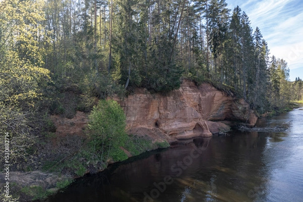 Fototapeta red sandstone cliffs overgrown with forest trees. Salaca river, Latvia