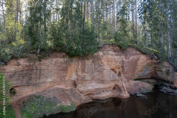 Fototapeta red sandstone cliffs overgrown with forest trees. Salaca river, Latvia