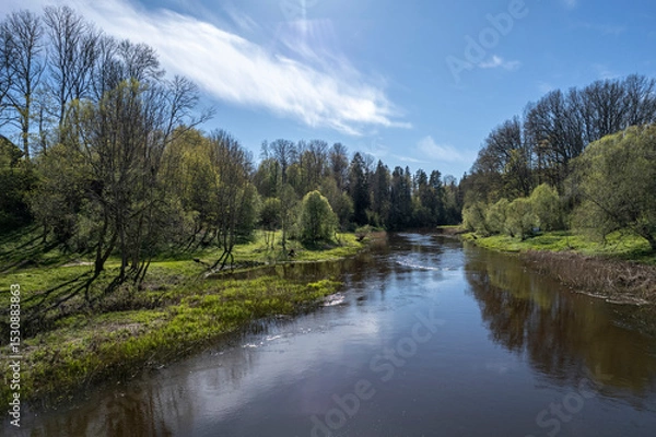 Fototapeta Salaca river in Latvia near Mazsalaca town. Forest on river banks, springtime season