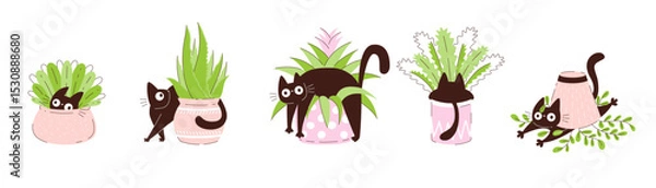 Obraz Funny black cats hiding and playing in flower pots with houseplants and cactus. Cute playful pets in pots. Humorous flat vector illustration for cards kids decor stickers posters and prints