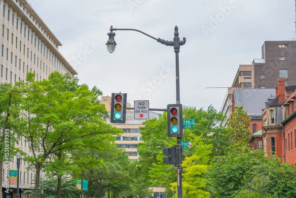 Obraz Traffic Lights and Green Trees in Washington D.C.