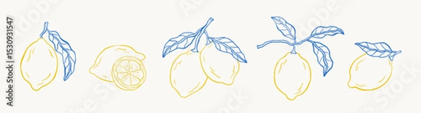 Obraz Set of doodle hand-drawn lemons. Tropical citrus fruit