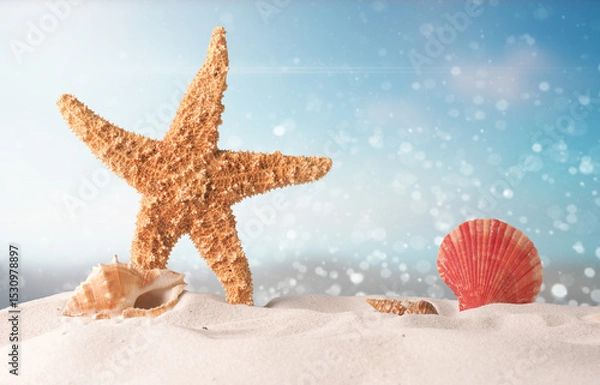 Fototapeta Starfish and shell on sandy beach with blurred background