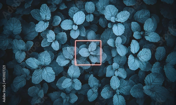 Fototapeta Moody teal foliage backdrop with a glowing square frame highlighting a cluster of leaves. Perfect for nature-themed designs, social media posts, or blog backgrounds.