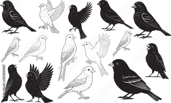 Fototapeta Canary Silhouettes Vector Pack