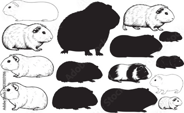 Fototapeta Guinea Pig Silhouettes – Solid Black & Outline Vector Set