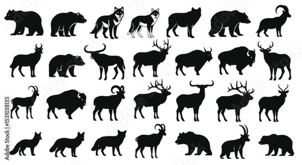 Obraz North American Wildlife Species A Survey Of Some of the Most Majestic Animals