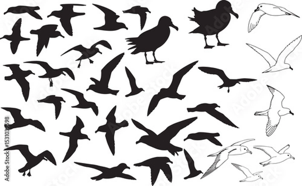 Obraz Petrel Silhouettes – Solid Black & Outline Vector Set