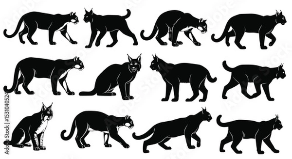 Obraz The Enigmatic World of Felines Understanding Anatomy Behavior and Ecology Across Twelve Distinct Silhouettes
