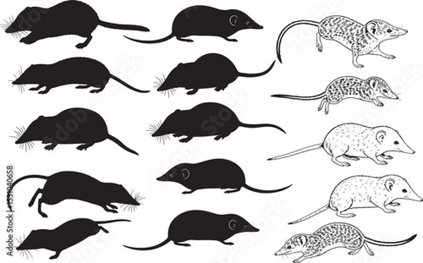 Fototapeta Shrew Silhouettes – Solid Black & Outline Vector Set