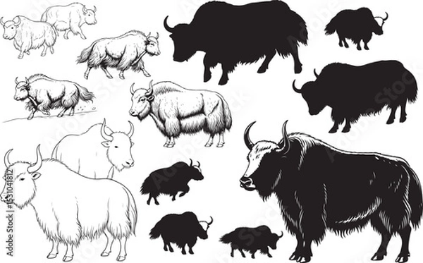 Fototapeta Yak Silhouettes – Solid Black & Outline Vector Set