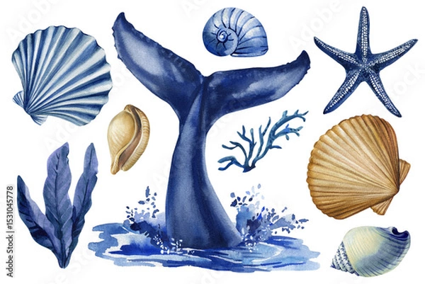 Obraz Watercolor Blue Whale Tail and Shells Clipart Set Marine Ocean Life with Coral and Seaweed. marine elements, ocean decor, sea, 