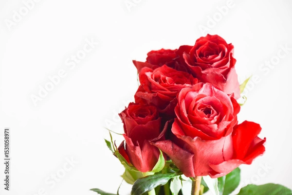 Fototapeta 赤いばら