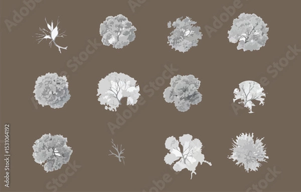 Obraz Monochrome Tree Top View Vector Illustration for Architectural Landscape Design Site Plan and Urban Planning Projects on a Brown Background