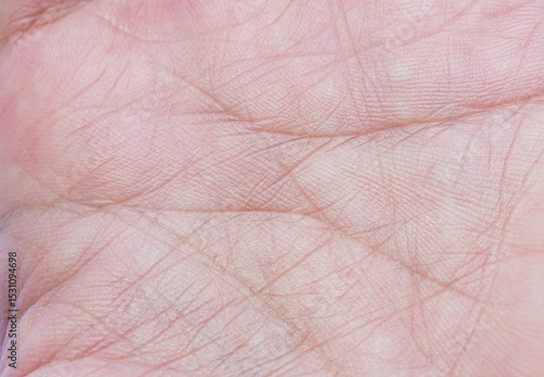 Fototapeta Close-up of human palm lines,Close-up of palm showing skin texture and lines. 