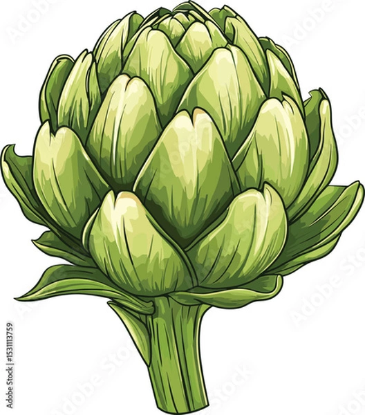 Obraz fresh green artichoke