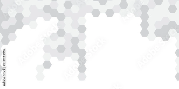 Fototapeta Abstract technology hexagonal background. Illustration of a white background with hexagonal template. White hexagon honeycombs background. Hexa gray Abstract Geometric Wide Banner Design.