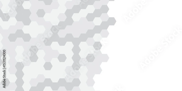 Fototapeta Abstract technology hexagonal background. Illustration of a white background with hexagonal template. White hexagon honeycombs background. Hexa gray Abstract Geometric Wide Banner Design.
