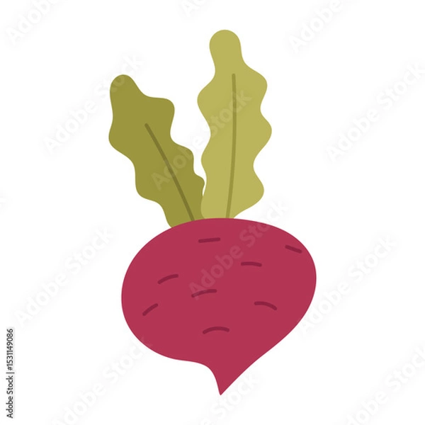 Fototapeta Beetroot, radish with tops. Proper nutrition. The flat color illustration is suitable for applications, posters about health, fitness, exercise, disease prevention and cardiac activity