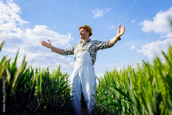 Obraz Smiling farmer standing in green wheat field with arms outstretched.