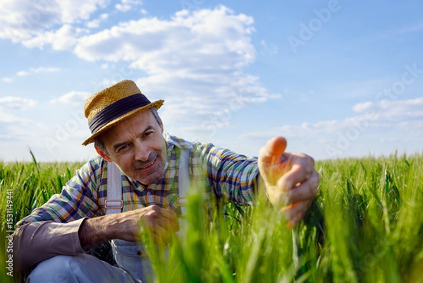 Obraz Adult male farmer standing in green wheat field examining crop.