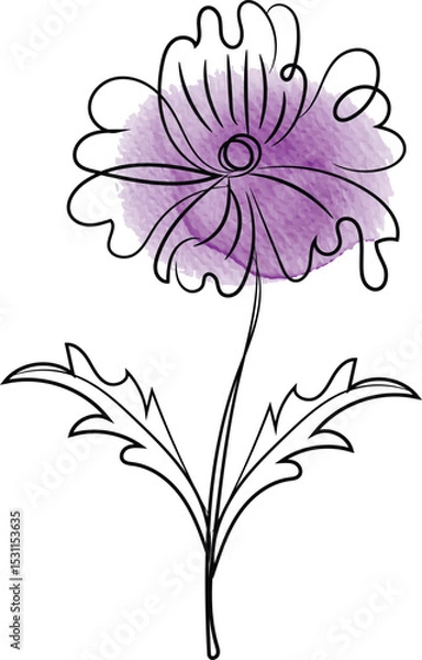 Obraz Elegant Line Art Flower with Watercolor Fill Featuring a Delicate Floral Design in Black Outline with a Soft Purple Watercolor Wash on a Clean White