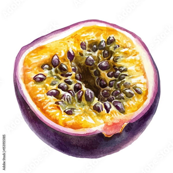 Fototapeta Passion Fruit Slice, watercolor drawing vector, isolated on a white background.