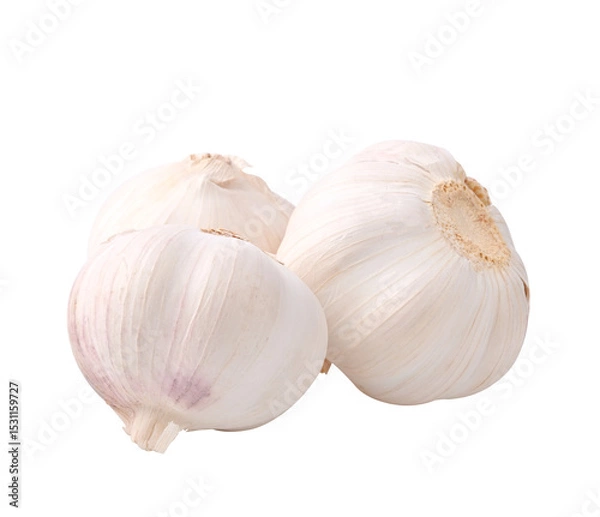 Obraz Garlic on transparent png