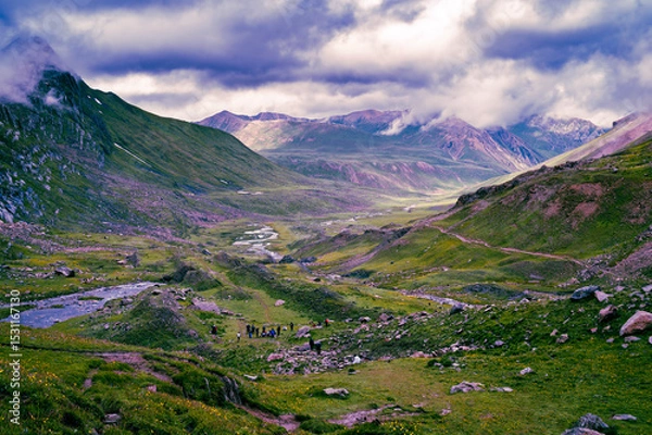 Obraz Mountain landscape in summer. Panoramic view of Sonmarg, Kashmir valley in the Himalayan region. Serene meadows, alpine trees, wildflowers on the trails of The Great Lake of Kashmir Trek, 2022. 