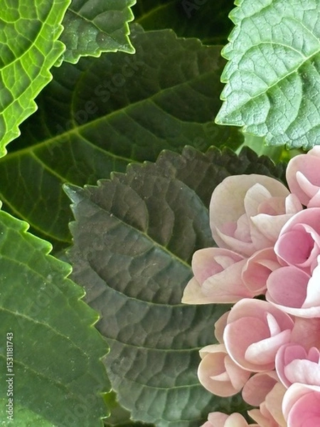 Fototapeta Capture the quiet coexistence of trees and blooming flowers in a public park setting. This series highlights the beauty of curated nature—majestic trunks, soft petals, filtered sunlight, and the peace